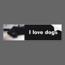 Xander 4 copy, I love dogs bumper stickers