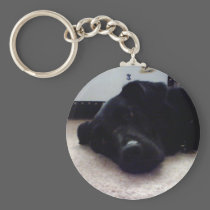 Xander 4 copy keychains