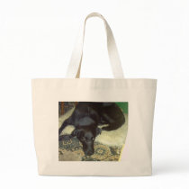 Xander 5 copy bags by Moondial Xander 5 copy bags