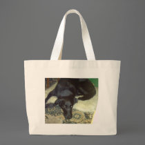Xander 5 copy bags