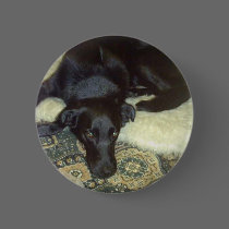 Xander 5 copy buttons