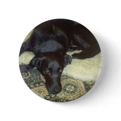 Xander 5 copy Button by Moondial