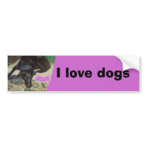 Xander 5 copy, I love dogs bumper stickers