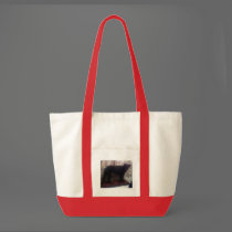 Xander 6 copy bags