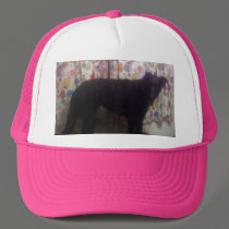Xander 6 copy hats