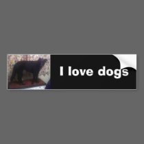 Xander 6 copy, I love dogs bumper stickers
