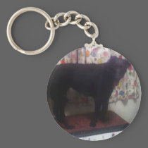 Xander 6 copy keychains