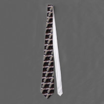 Xander 6 copy, Xander 6 copy, Xander 6 copy, Xa... ties