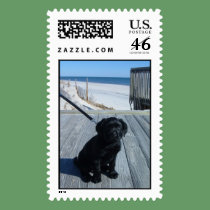 Xander at Island Beach postage by defrias Xander at Island Beach postage