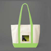 Xander at Night copy bags