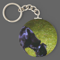 Xander at Night copy keychains
