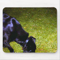 Xander at Night copy mousepads