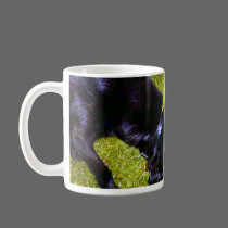 Xander at Night copy mugs
