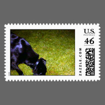 Xander at Night copy stamps