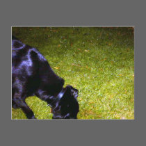 Xander at Night copy postcards