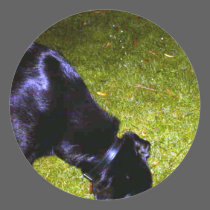 Xander at Night copy stickers