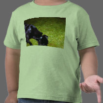 Xander at Night copy t-shirts