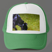 Xander at Night hats