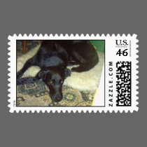Xander Dog stamps