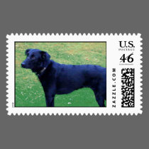 Xander Dog stamps