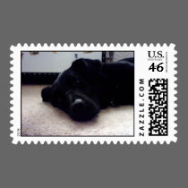 Xander stamps