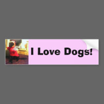 Xander Pucci copy, I Love Dogs! bumper stickers