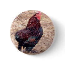 Xavier III buttons by pidgiefund Xavier III buttons
