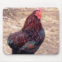 Xavier III mousepads by pidgiefund Xavier III mousepads