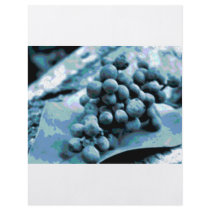 xcolorsgrapes flyers by WeddingWorks xcolorsgrapes flyers