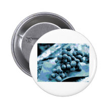 xcolorsgrapes pin