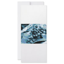 xcolorsgrapes rack cards by WeddingWorks xcolorsgrapes rack cards
