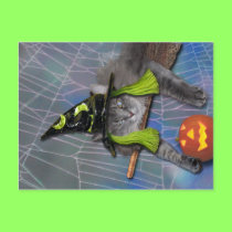 Xena as Witch postcards