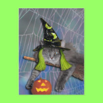 Xena as Witch postcards
