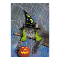 Xena as Witch poster posters