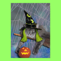 Xena as Witch poster posters
