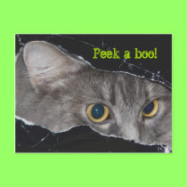 Xena peek-a-boo Postcard - Customized postcards