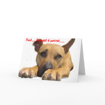 Xena's face card (Romantic)