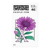 Xeranthemum Flower Monogram postage