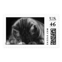 xf0web[1] postage