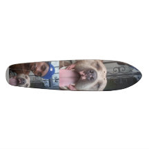 xgame mally board skate boards