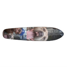 xgame mally borad skate decks