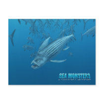 Xiphactinus postcards by seamonsters Xiphactinus postcards