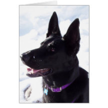 xmas1 greeting cards