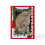 xmas-bobcat-22 cards