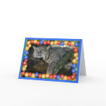xmas-bobcat-24 cards