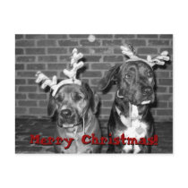 xmas card recrop recontrast, Merry Christmas!!,... postcards