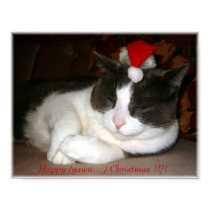 Xmas Cat posters
