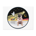 Xmas Dove (R) - Pug 1