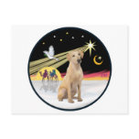 Xmas Dove (R) - Yellow Lab (F)