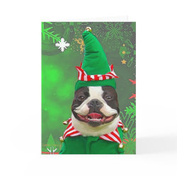 Xmas Elf card